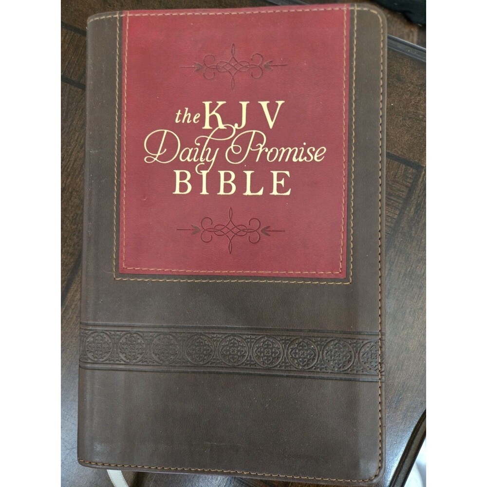The KJV Daily Promise Bible: The Entire Bible Arranged in 365 Daily Readings